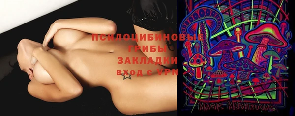 винт Коряжма