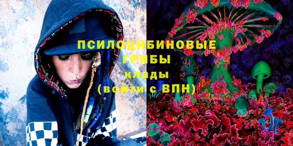 винт Коряжма