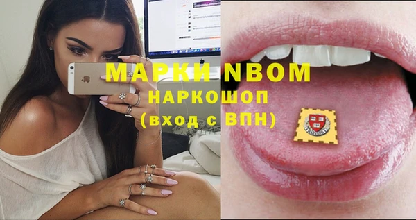 хмурый Корсаков
