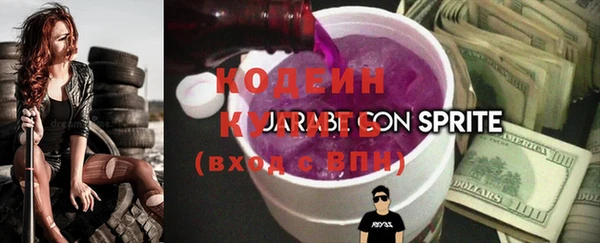 хмурый Корсаков