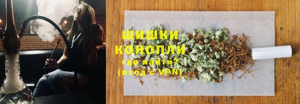 хмурый Корсаков